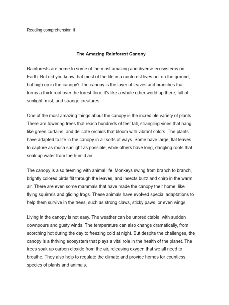 Rainforest Canopy Ecosystem Overview | PDF | Canopy (Biology) | Rainforest
