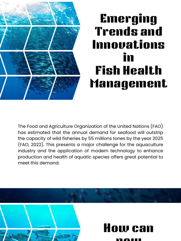 Emerging Trends and Innovations in Fish Health Management - 20240506 ...