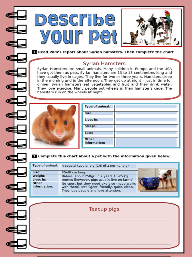 describe-your-pet-picture-description-exercises-tests-writing-creati