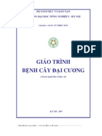 Benh Cay Dai Cuong - Vu Trieu Man 2007