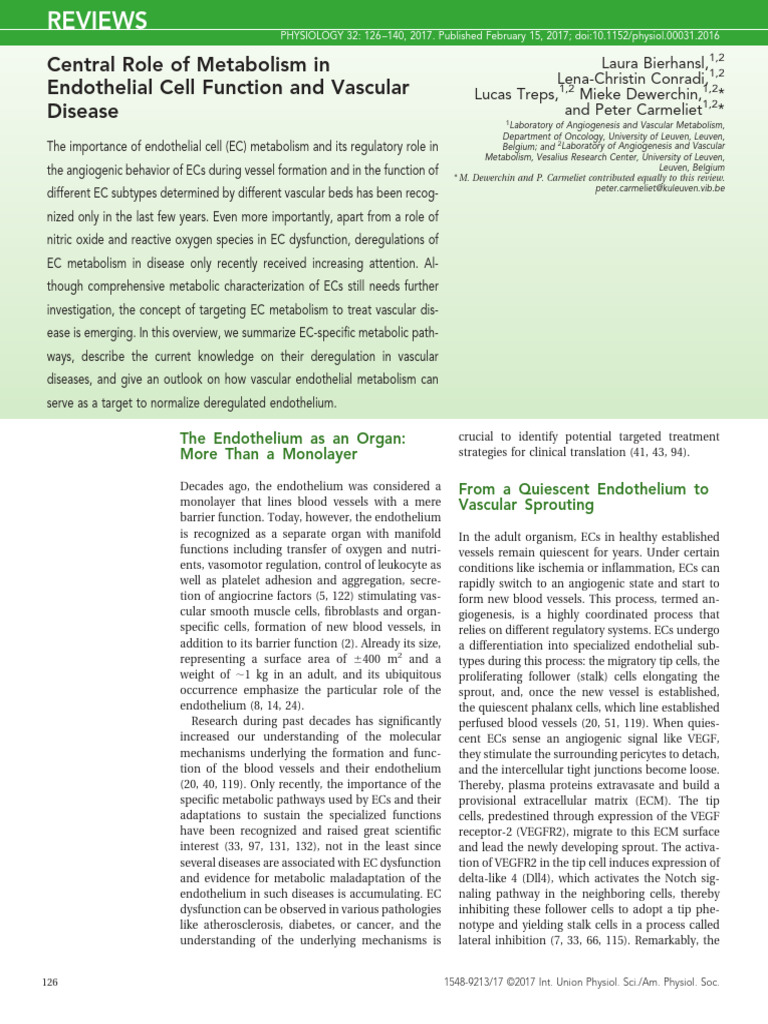 Central Role of Metabolism Inendothelial Cell Function and ...