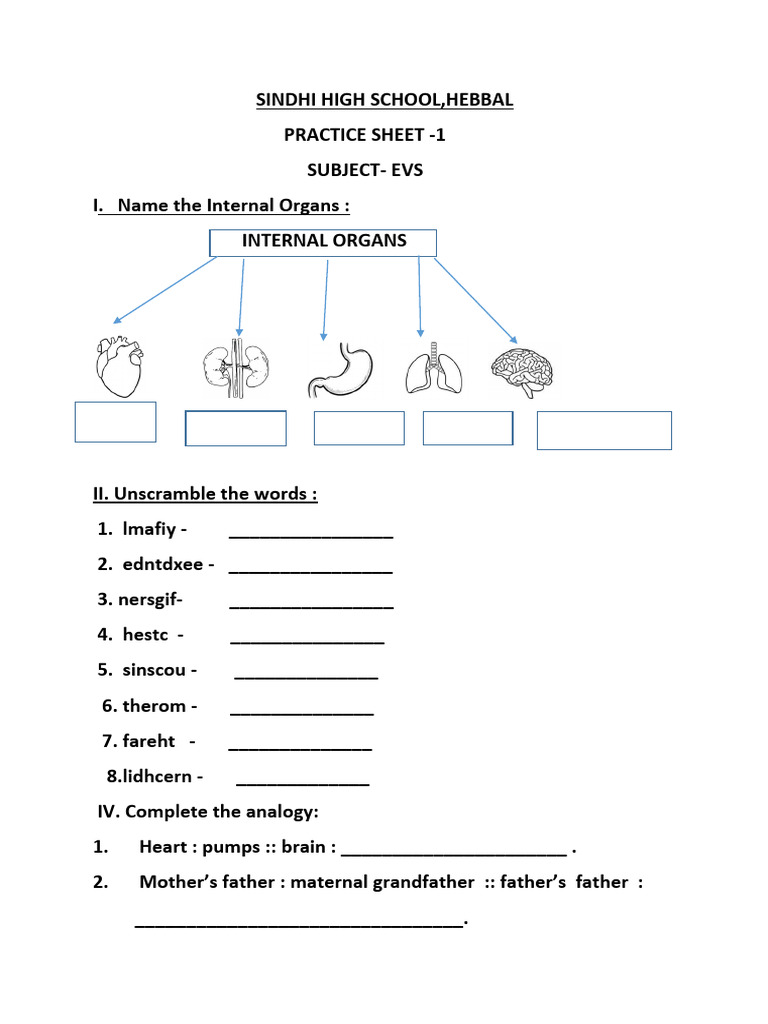 EVS Practice Sheet for Sindhi High School | PDF