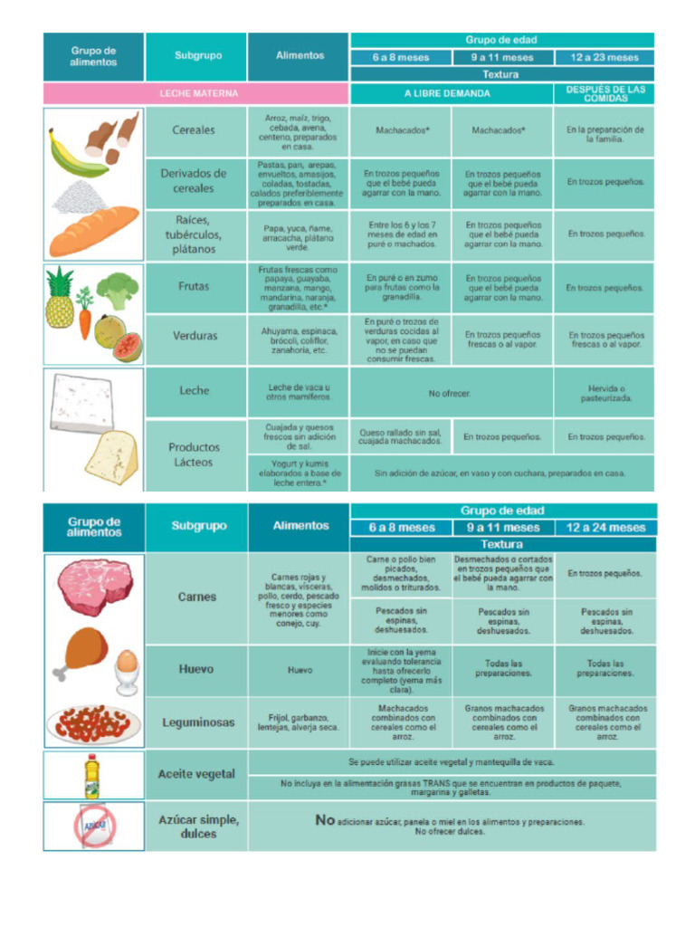 ALIMENTACION COMPLEMENTARIA | PDF