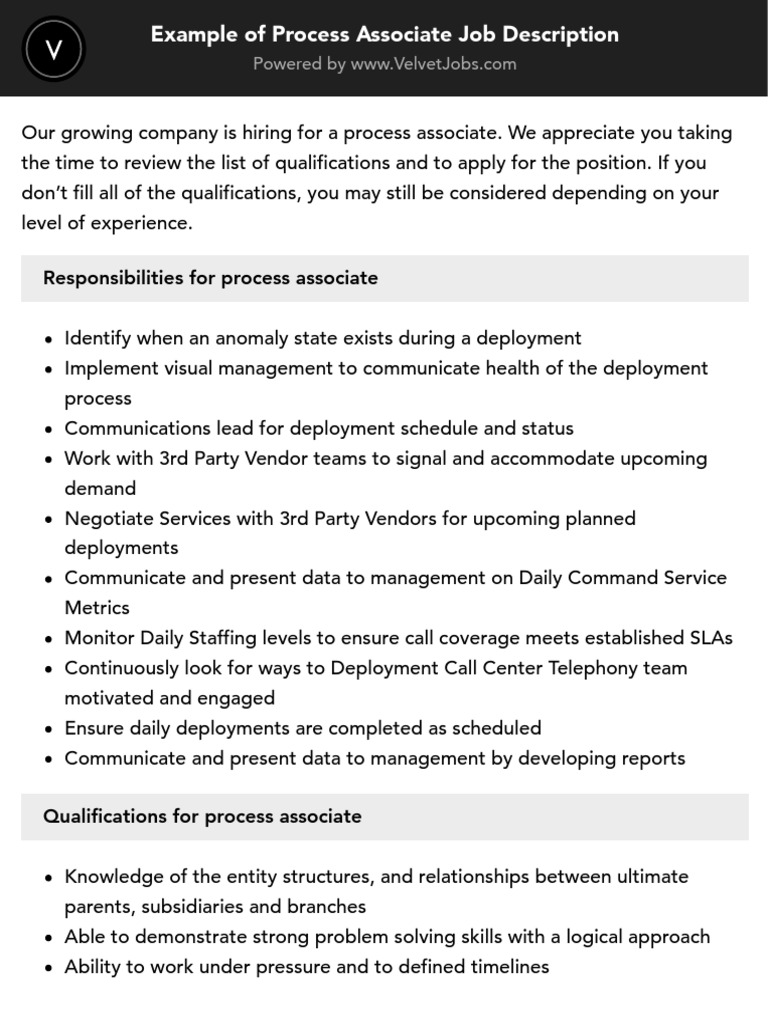 Responsibilities For Process Associate | PDF