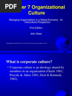 Chapter 7 Organizational Culture