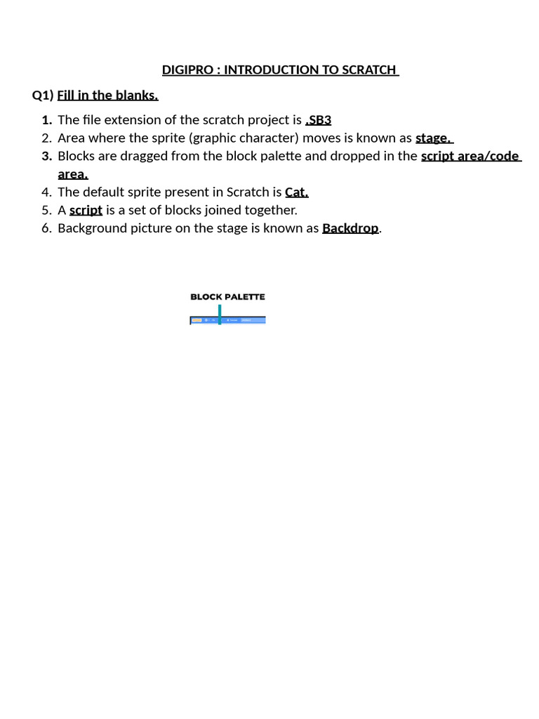 Scratch Project Basics and Terminology | PDF