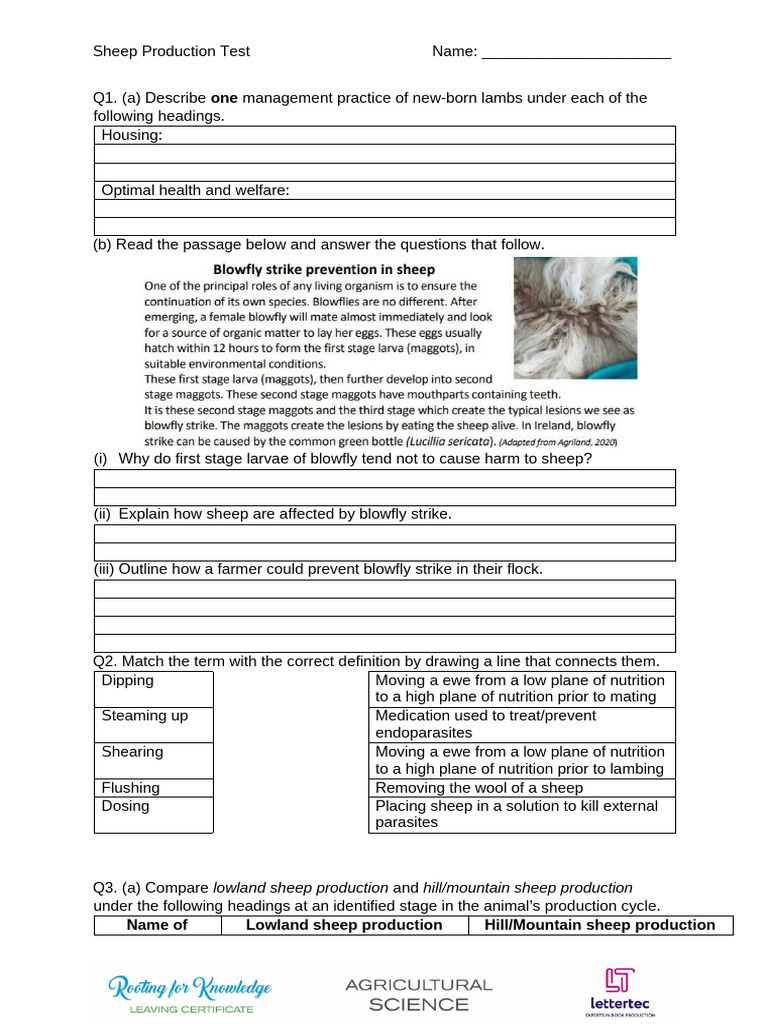 Sheep Production Management Practices | PDF