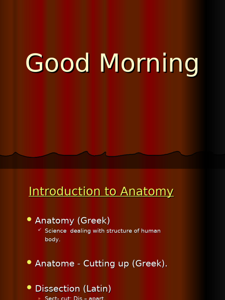 anatomical-terms-pdf-anatomical-terms-of-motion-anatomical-terms