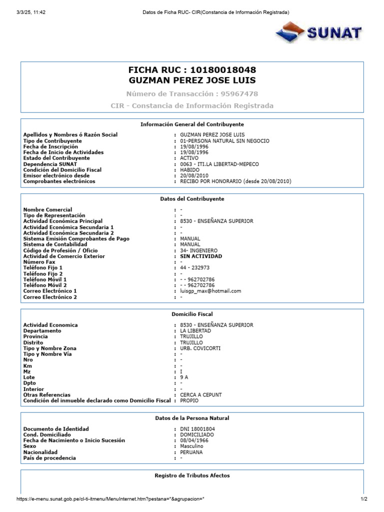 Ficha Ruc Ing. | PDF