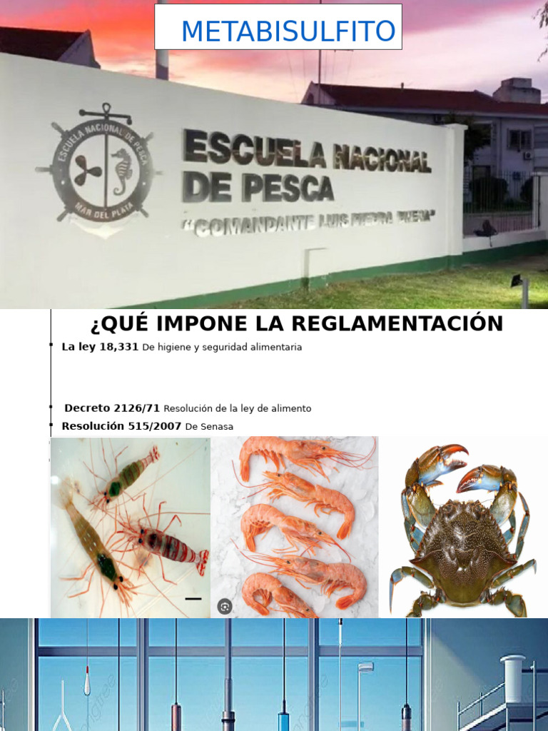 Regulación y Efectos del Metabisulfito | PDF