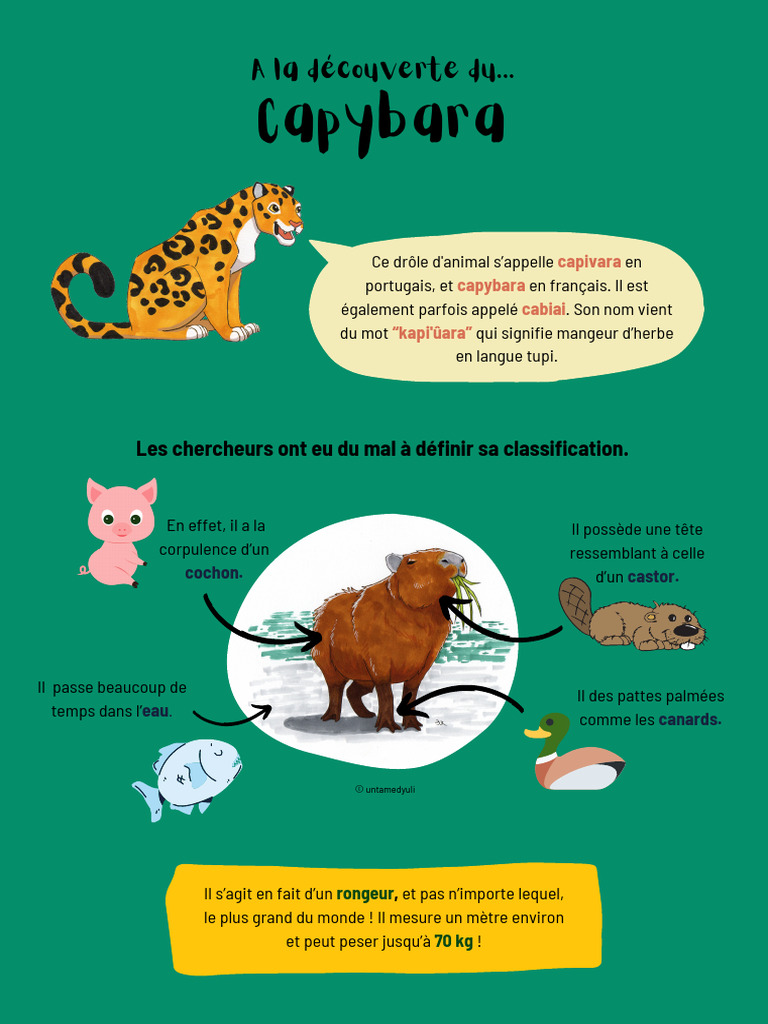 Caract ristiques Du Capybara En Fran ais PDF Zoologie