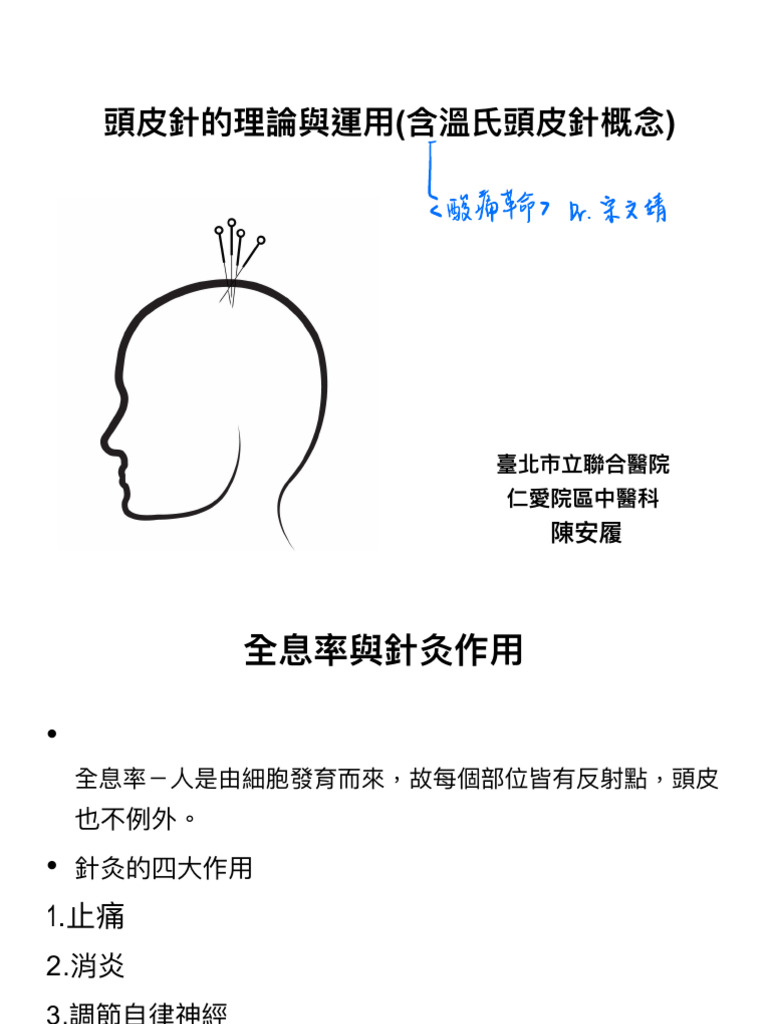 頭皮針1100621445 | PDF