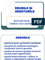 ARSURILE ÅžI DEGERÄ‚TURILE