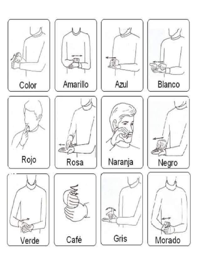 LSM Colores | PDF