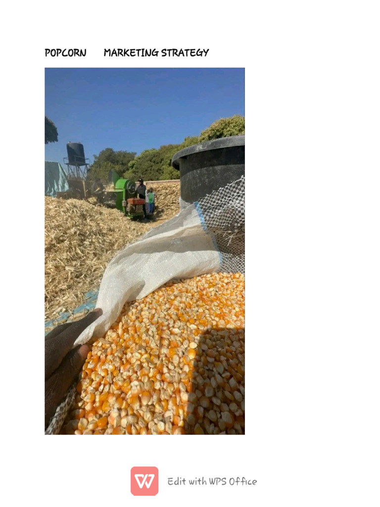 Popcorn Business Marketing Strategies | PDF | Brand | Popcorn