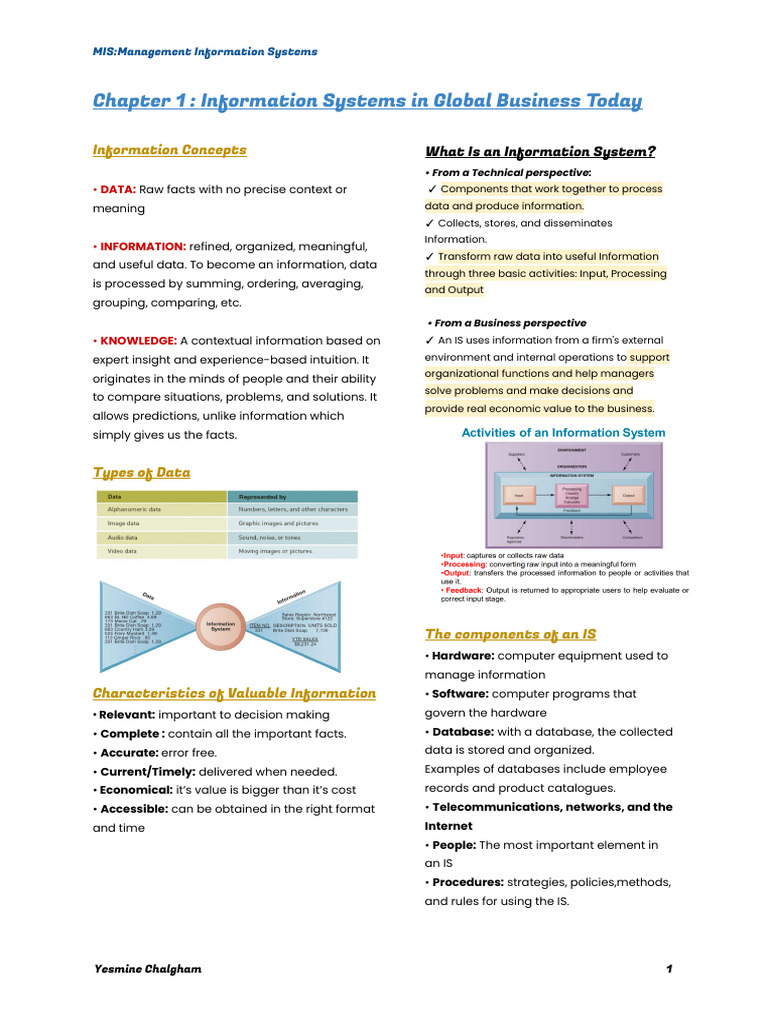 Understanding Information Systems in Business | PDF | Data | Information