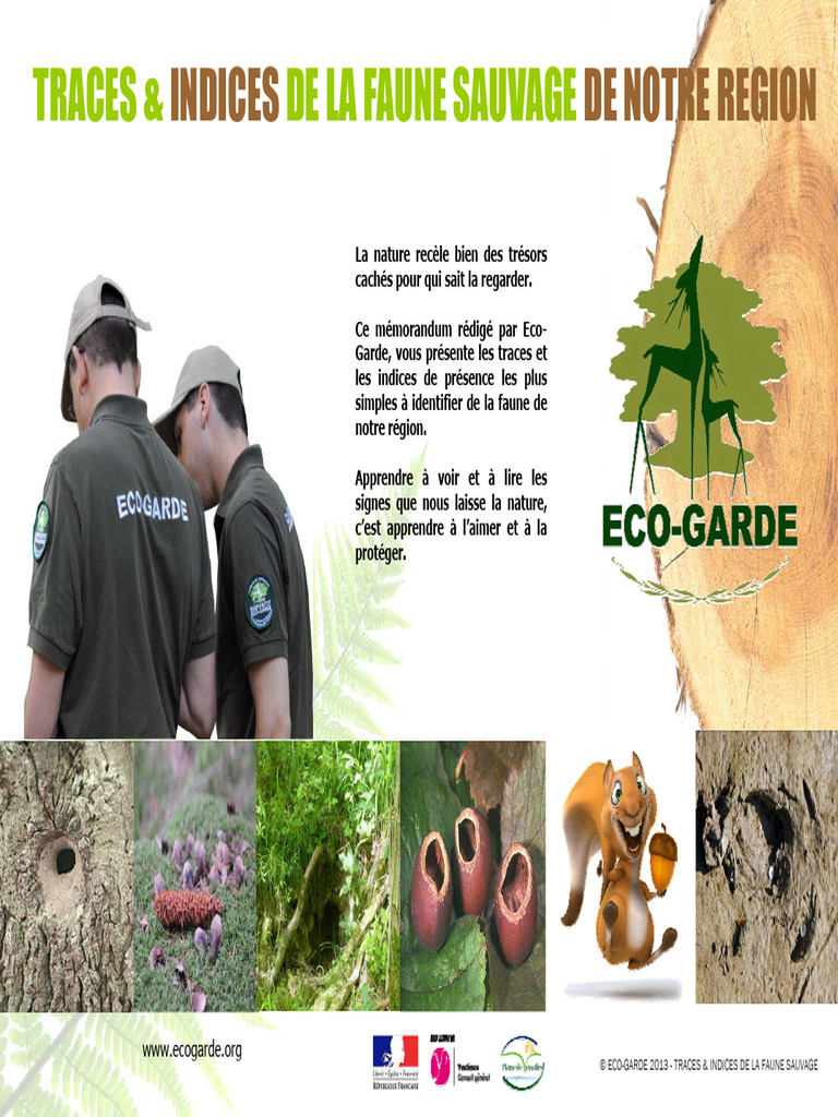 Traces de faune sauvage en région | PDF | Arbres | Insectes
