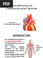 Circulation | PDF | Circulatory System | Artery
