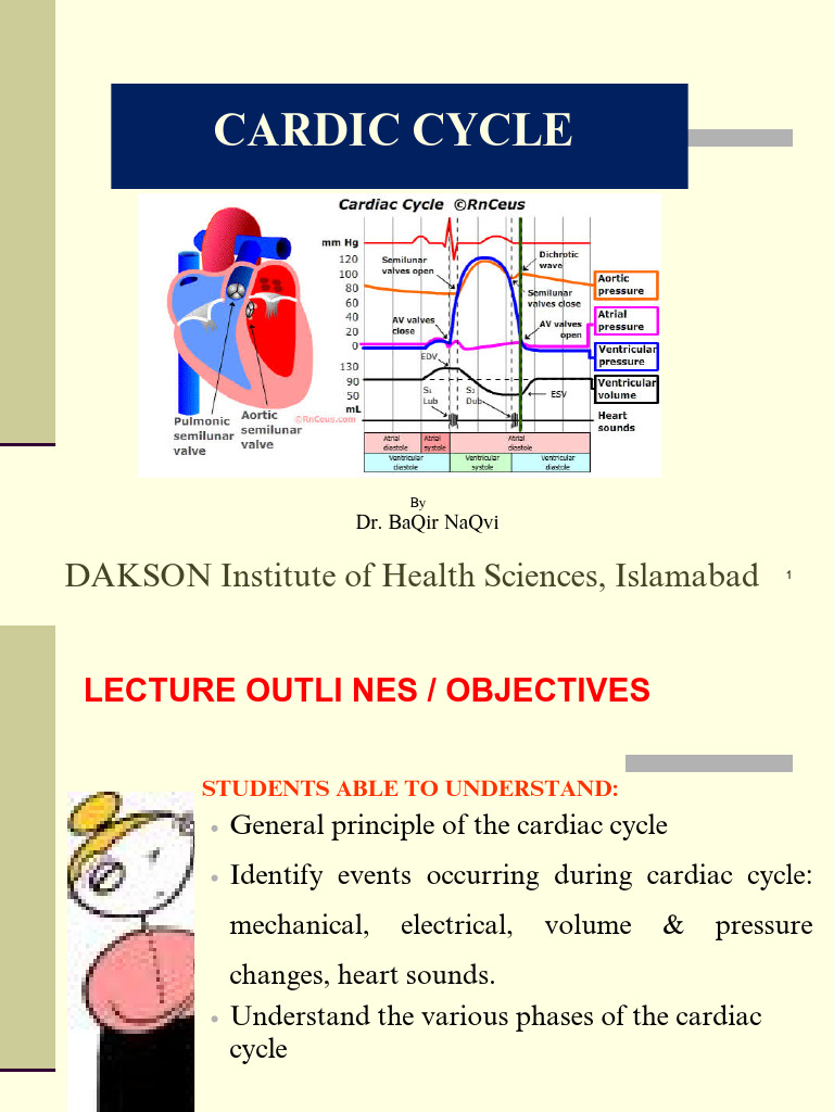 Understanding the Cardiac Cycle | PDF | Diastole | Ventricle (Heart)