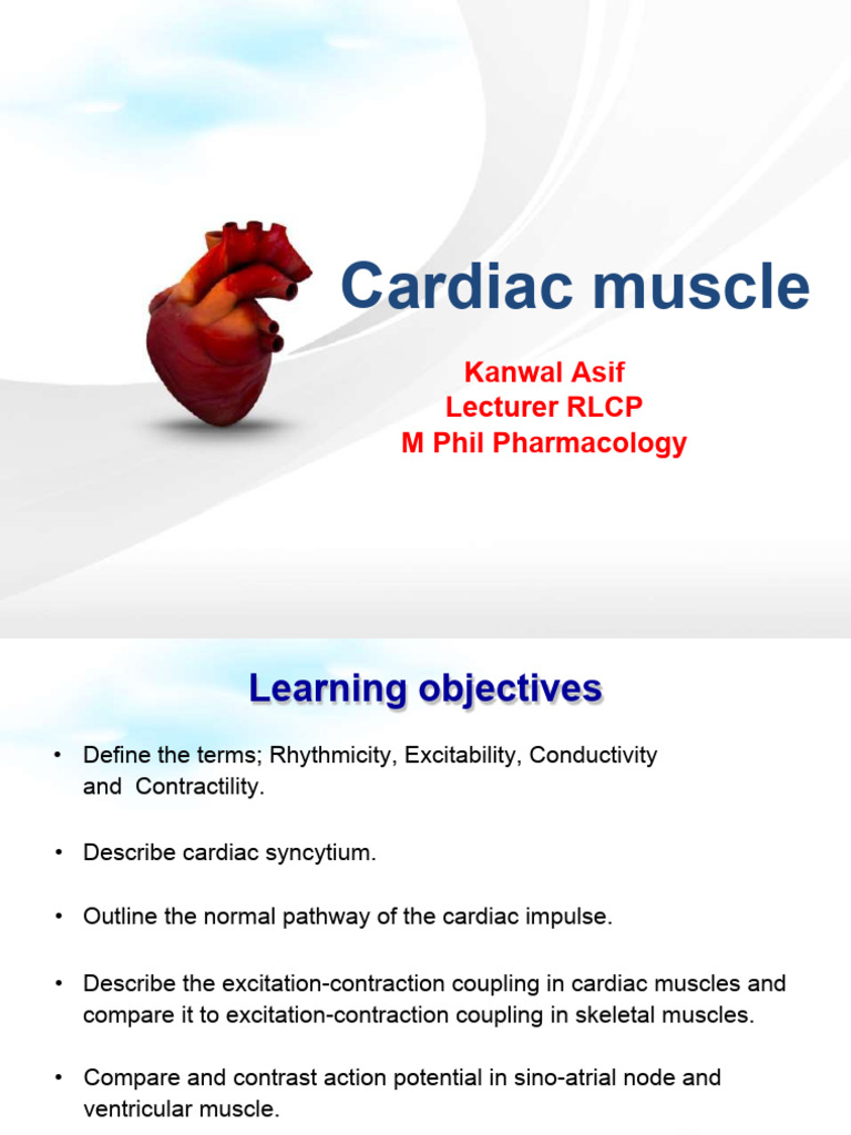 Cardiac Muscle: Structure and Function | PDF | Cardiac Muscle | Heart