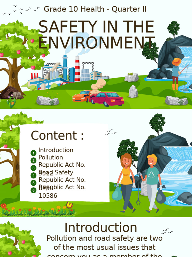 Pollution and Road Safety Policies | PDF | Seat Belt | Road