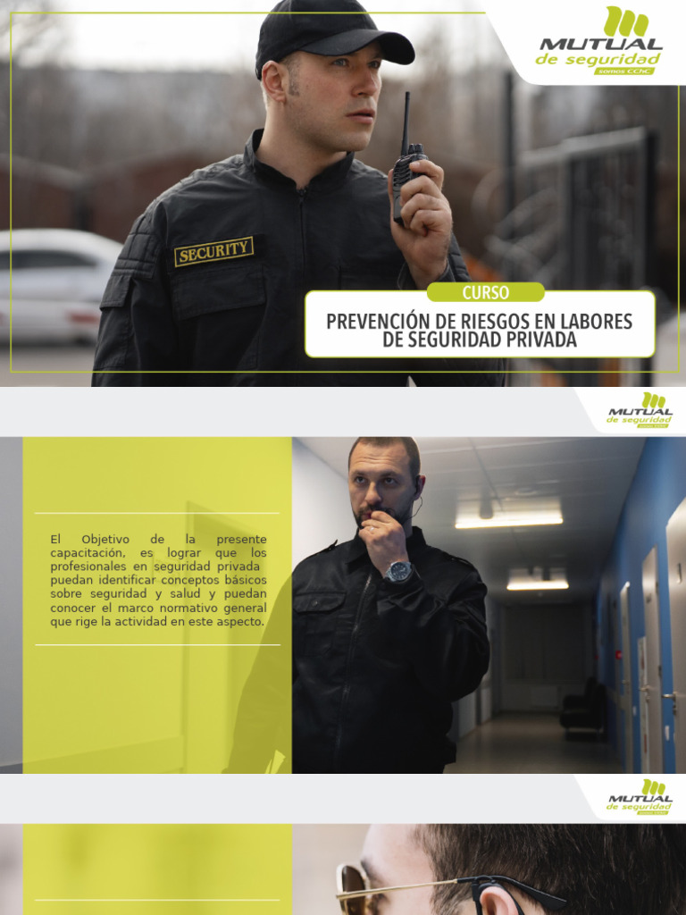 Control de Riesgo en Seguridad Privada | PDF | Valores | Business