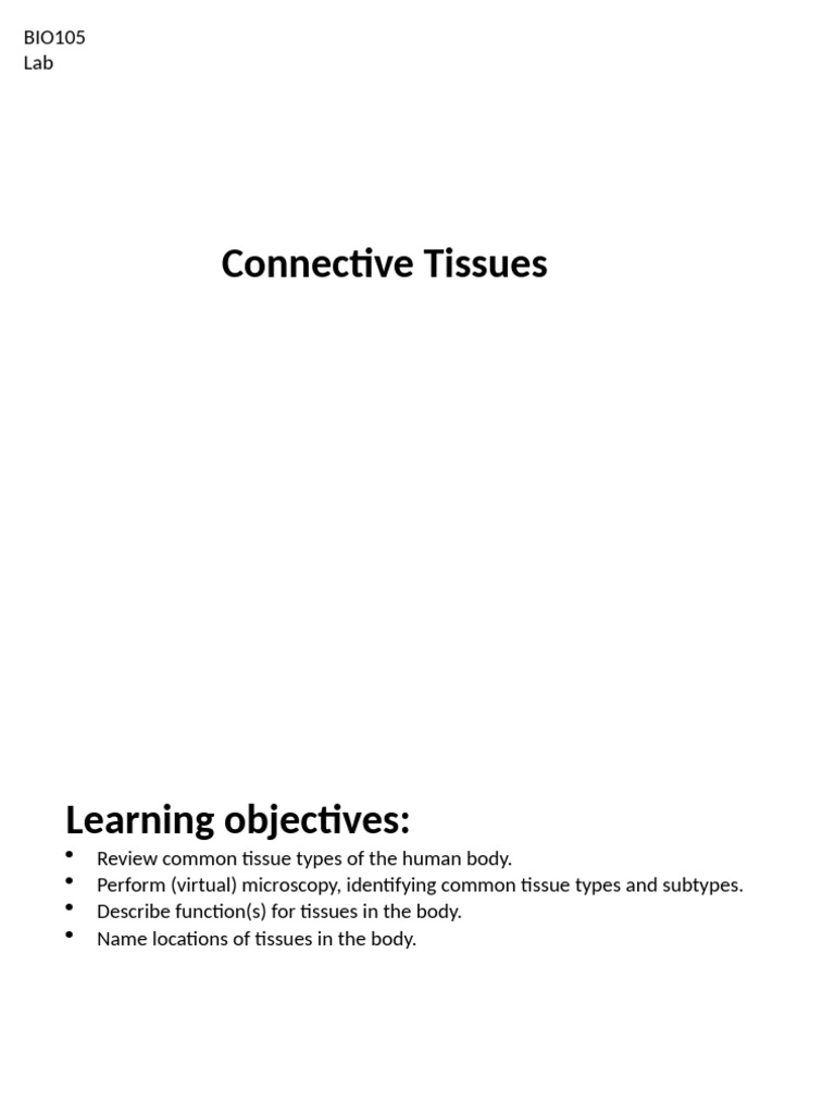 Lab 4 - Presentation Connective Tissue | PDF