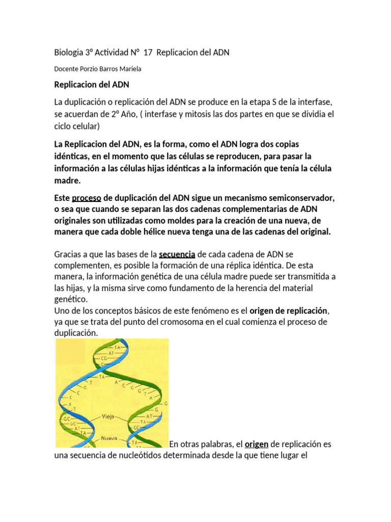 Replicación del ADN: Proceso y Enzimas | PDF | Replicación De Adn | Adn