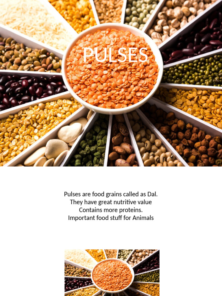 Overview of Pulses and Dal Varieties | PDF
