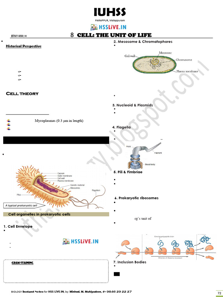 Hsslive Xi Botany CH 8 Cells Minhad | PDF | Cell (Biology ...