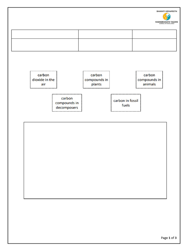 Unit 1 Revision WS | PDF | Carbon Cycle | Photosynthesis