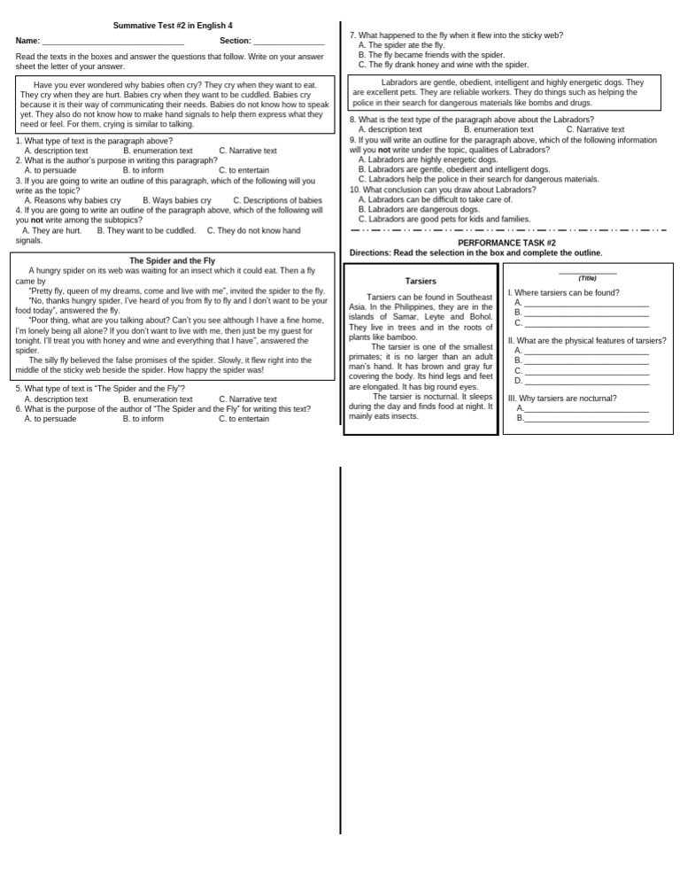 English 4 Summative Test #2 Guide | PDF | Spider