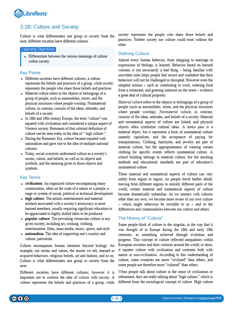 Understanding Culture and Society Dynamics | PDF | Popular Culture ...