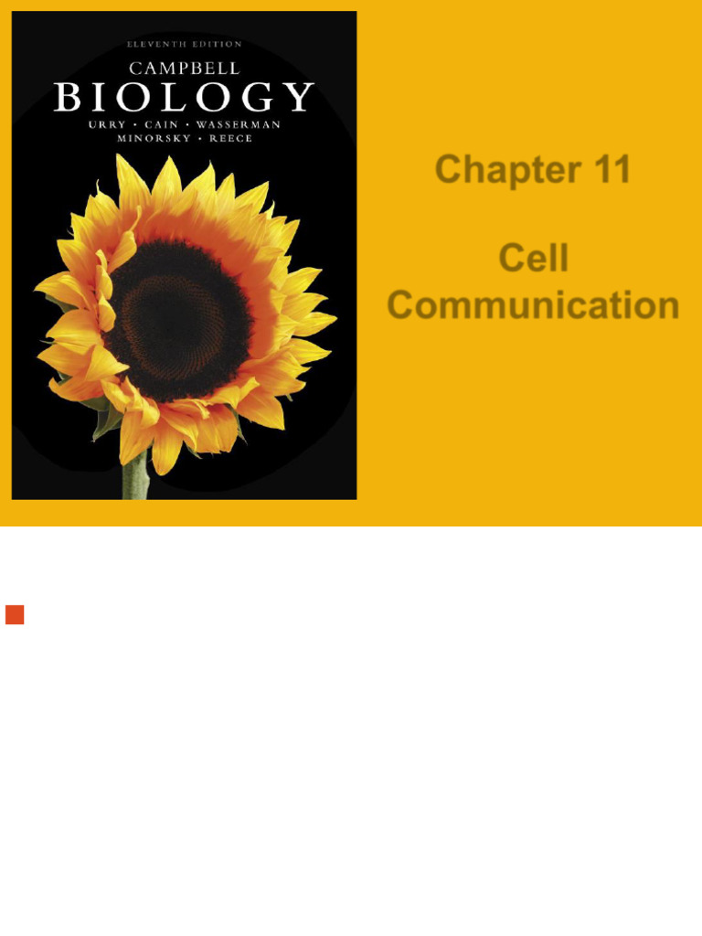 Unit 4 | PDF | Mitosis | Cell Signaling