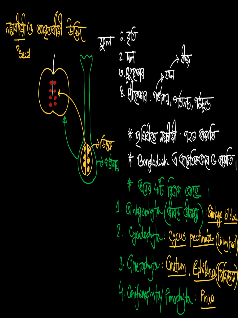 Class Lecture Note Day 7 | PDF