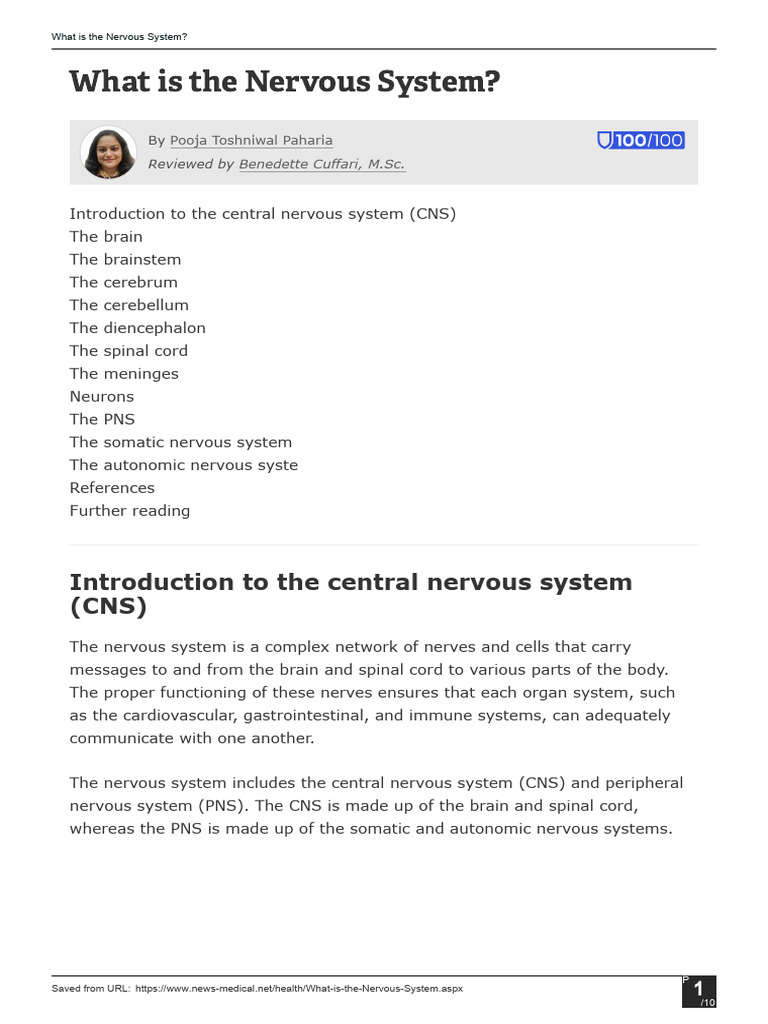 Overview of the Nervous System | PDF | Central Nervous System | Nervous ...