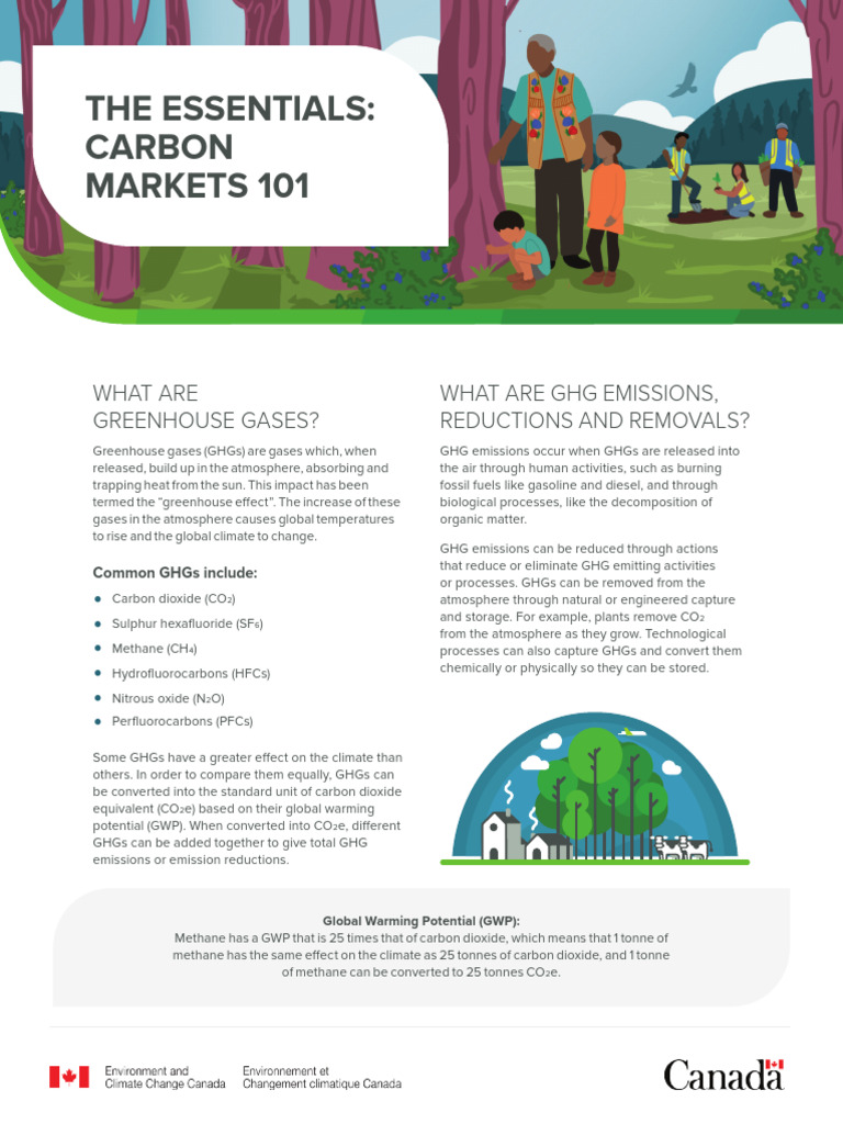 Carbon Markets and GHG Basics Explained | PDF | Greenhouse Gas ...