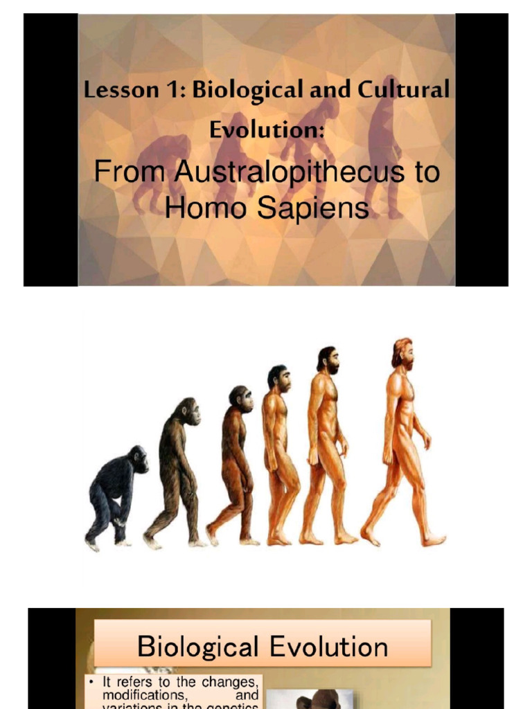 Biological and Cultural Evolution | PDF