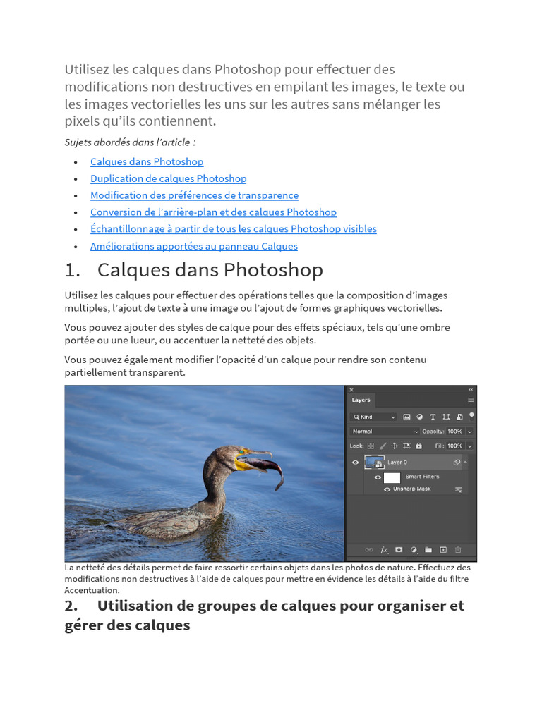 Créer des groupes de calques dans Photoshop | PDF | Vidéo