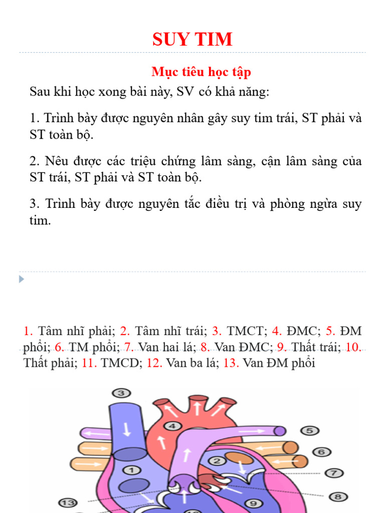 B2. Suy Tim | PDF
