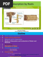 Download Chap 4 Absorption by Roots Chap 5 Transpiration Chap 6 Photosynthesis by ankurbiology SN83518594 doc pdf