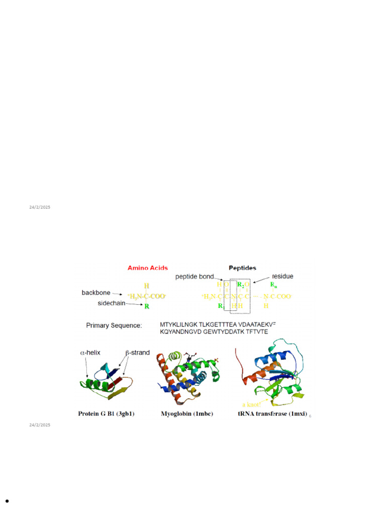 Understanding Amino Acids and Peptides | PDF | Amino Acid | Acid