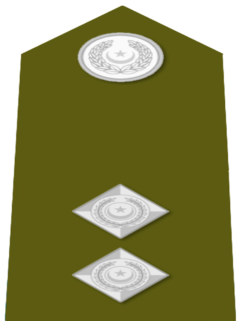 PSP Insignia | PDF