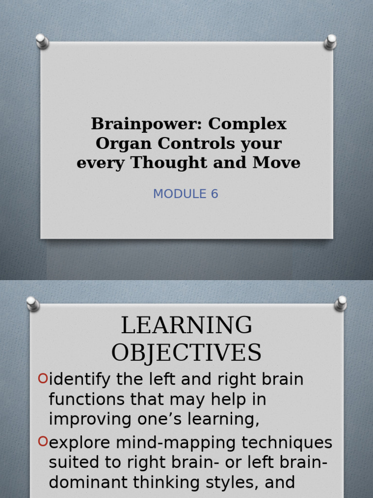 Understanding Brain Functions and Learning | PDF | Neuron | Brain