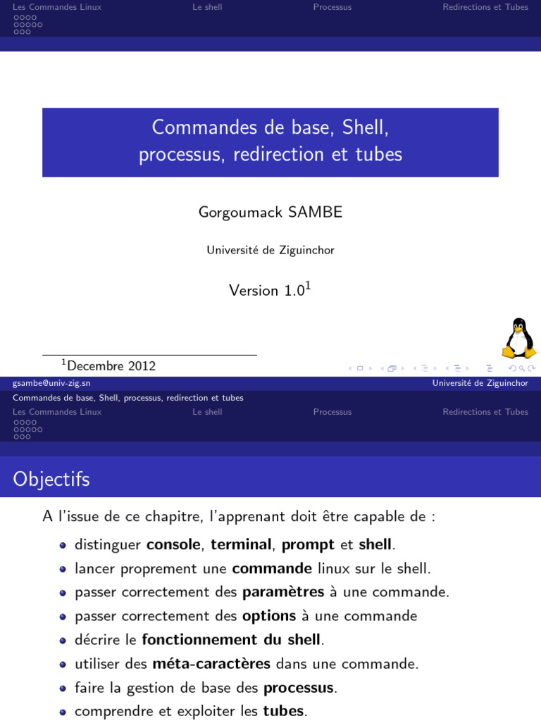 Commandes Linux : Shell et Processus | PDF | Interface en ligne de ...