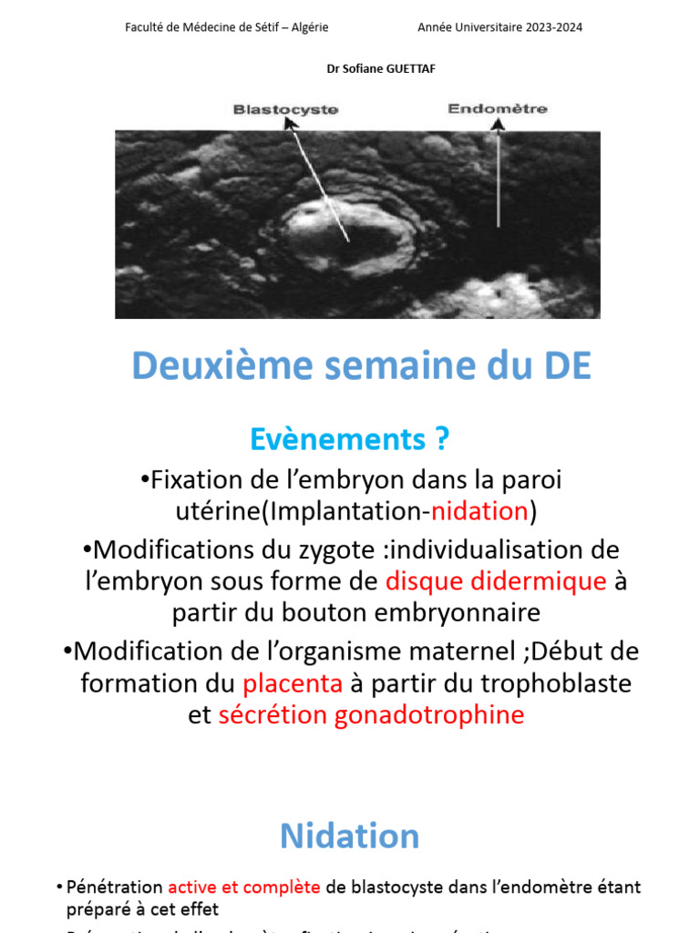 Nidation et Implantation de l'Embryon | PDF | Embryon | Morphologie ...