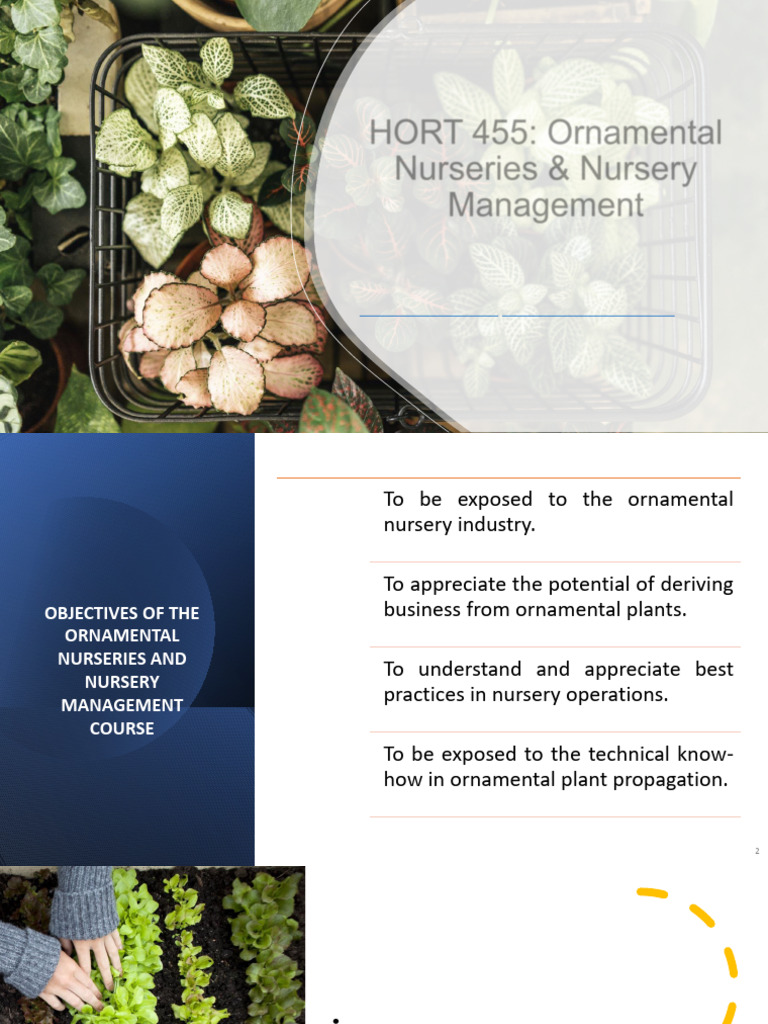 Ornamental Nursery Management Guide | PDF | Plant Nursery | Sowing