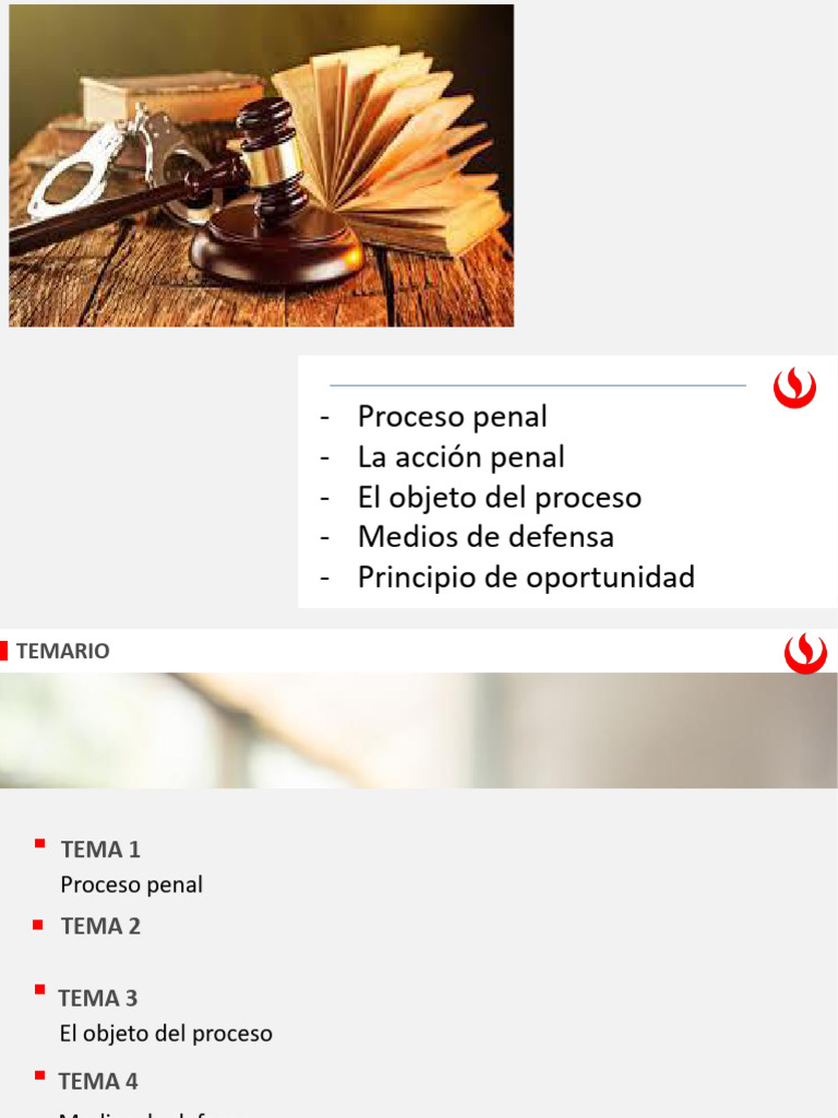 Fundamentos del Proceso Penal | PDF | Debido al proceso | Fiscal