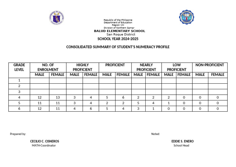 Student Numeracy Profile Summary | PDF