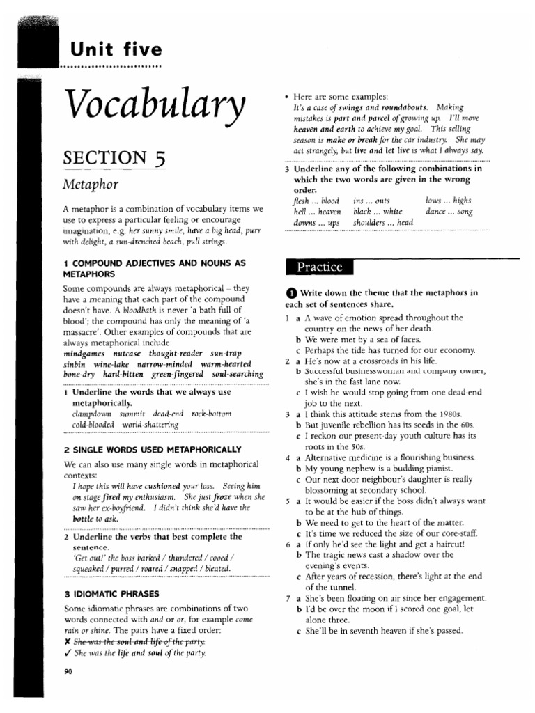 C1 Metaphors and Idioms | PDF